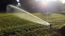 IMG-20170718-WA0015 (2)